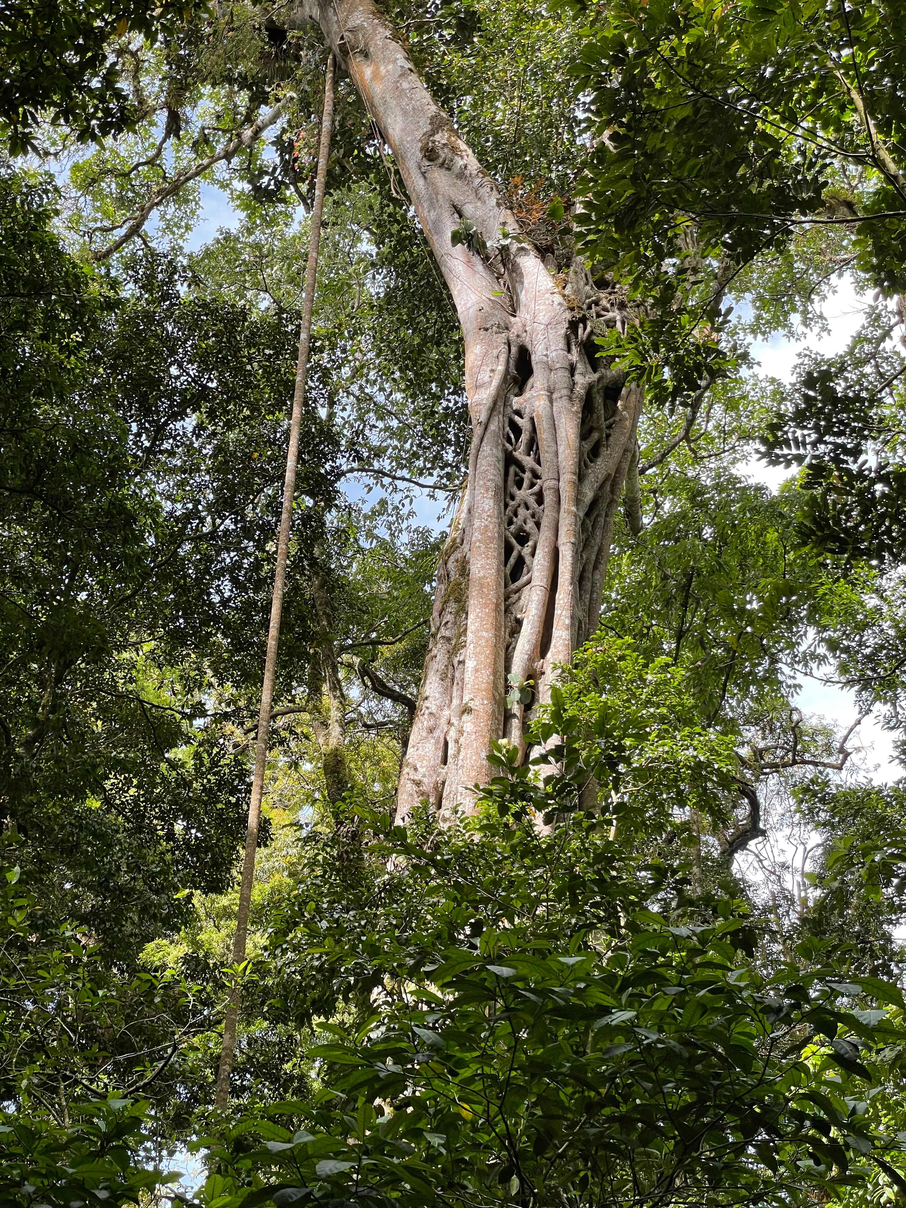 Costa Rica